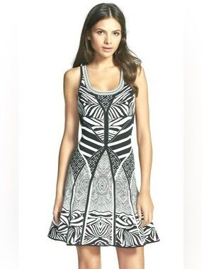 Diane von Furstenberg Fanny Zebra Dress